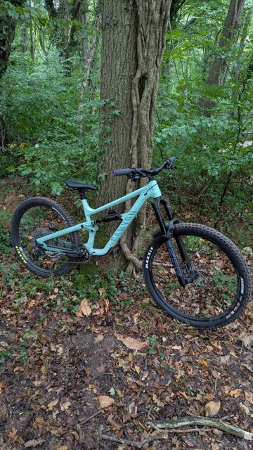 Tweedehands Canyon Torque Mullet AL 5 2023 2023 Mountainbike — afbeelding 1 van 3
