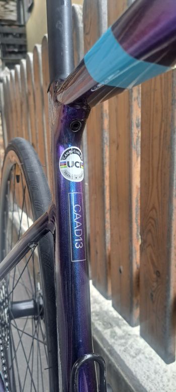 Used Cannondale CAAD13 Disc Tiagra 2024 2024 Road & Gravel, Purple — image 3 of 5