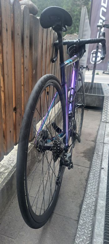 Used Cannondale CAAD13 Disc Tiagra 2024 2024 Road & Gravel, Purple — image 4 of 5