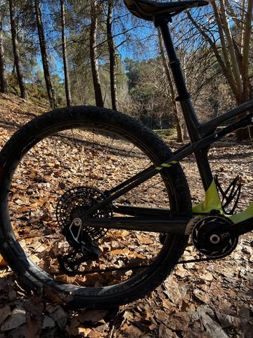 Brugt Canyon LUX SRAM XX SL Eagle AXS (T-Type) 2025 Mountainbike — billede 3 af 5