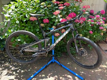 Trek, Top Fuel 7 SX