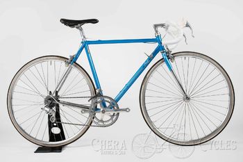 Other Brands, Vanni Losa Multishape