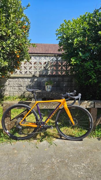 Stevens, Super Prestige 2x12 2024