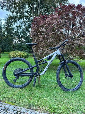 Pesp Ppu Gravelbike Canyon Grail Al 2021 Canyon Spectral 29 AL