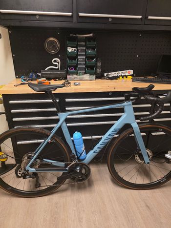 自転車本体 CANYON Endurace CF SL Disc 8.0 Ultegra Canyon Endurace CF SL Disc 8.0 / Endurance / Rowery szosowe