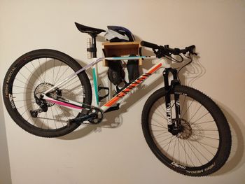 Used Canyon CANYON EXCEED CF 7 2021 MTB