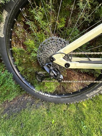 Used Rose Root Miller 1 2024 2024 Mountainbike, White, 29 — image 3 of 7