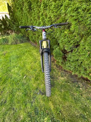 Used Rose Root Miller 1 2024 2024 Mountainbike, White, 29 — image 4 of 7