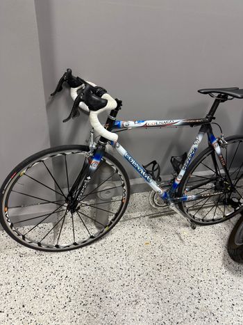 Used Colnago C 40 2004 Road & Gravel