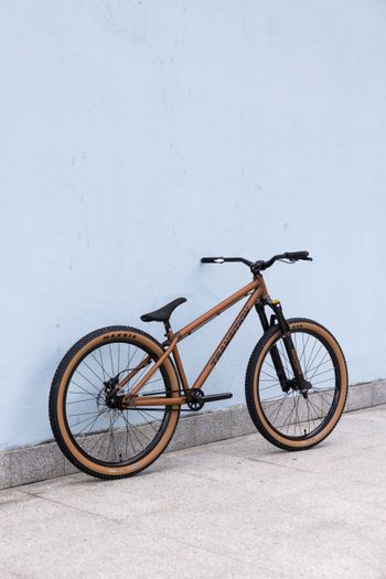 Transition PBJ Complete 2023 2023