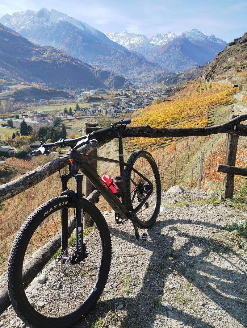 Gebrauchtes Radon JEALOUS 9.0 2021 2021 MTB