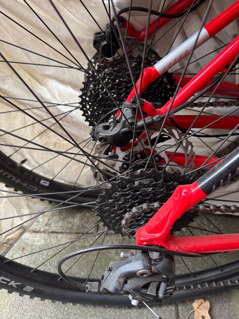 Used Cannondale Trail 7 2023 2023 Mountainbike, Red, 29 — image 3 of 3