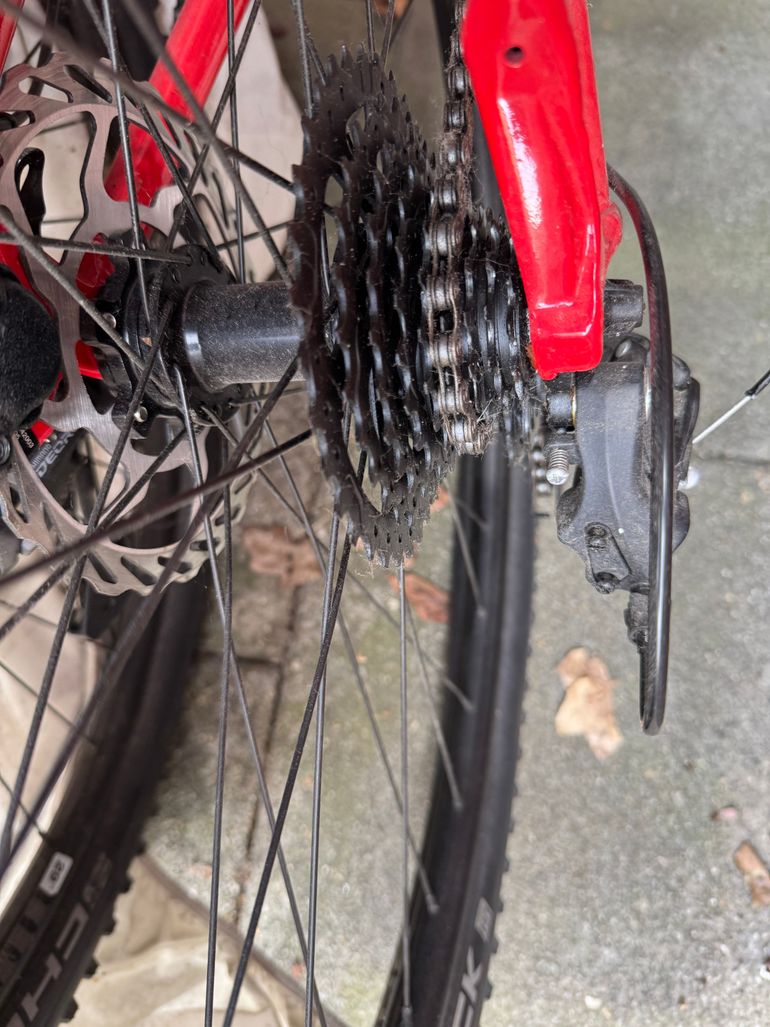 Cannondale Trail Women's 2021 2021