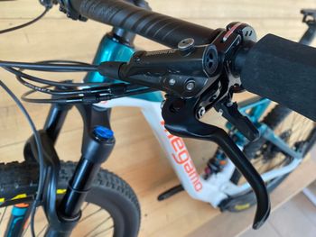 Used Megamo TRACK 10 2023 2023 Mountainbike, Verde — image 10 of 12