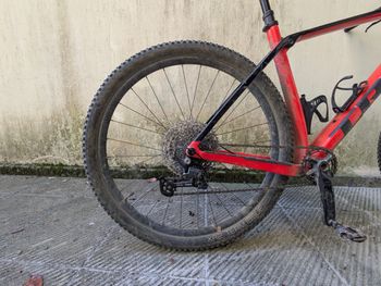 Brugt Trek Procaliber 9.5 2024 2024 Mountainbike — billede 9 af 24