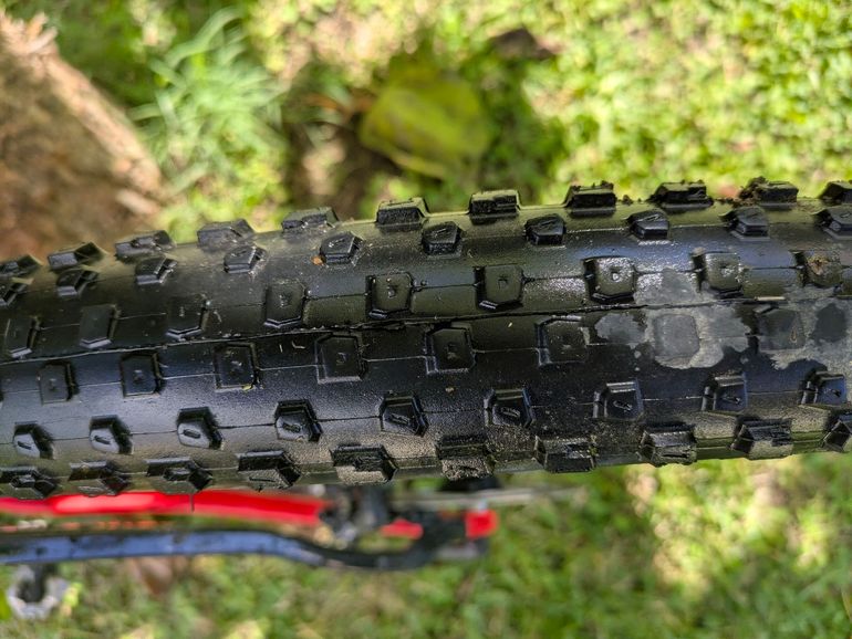 Brugt Trek Procaliber 9.5 2024 2024 Mountainbike — billede 15 af 24