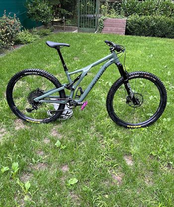 Specialized Stumpjumper Comp Alloy 2022 2022