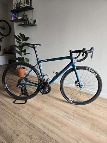 Specialized Expert 2023 2023