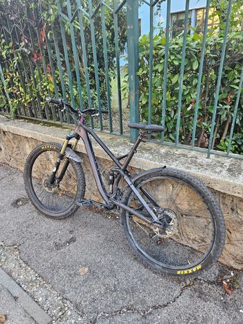 Canyon, Spectral AL 6.0 EX 2019