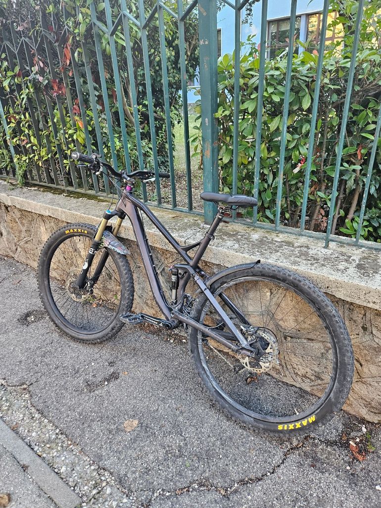 Canyon Spectral AL EX 2019 2019