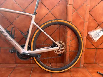 Used Scott Addict 30 2023 2023 Road & Gravel, Light Gray — image 11 of 11
