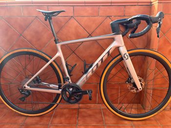 Used Scott Addict 30 2023 2023 Road & Gravel
