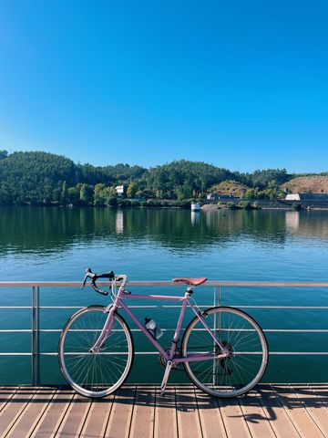 Temple Classic Tour 2022 Road & Gravel de segunda mano, Morado — imagen 1 de 6