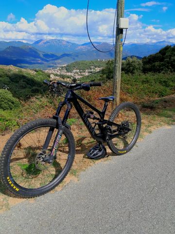 Used Canyon Torque 29 CF 7 2023 2023 Mountainbike, Black, 29 — image 2 of 12