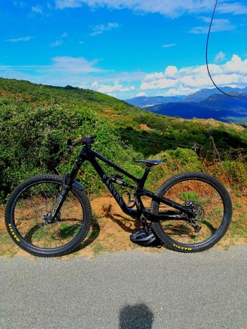 Canyon Torque 29 CF 7 2023 2023 MTB usato