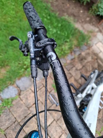 Canyon Torque Mullet AL 7 2024 2024 Mountainbike usato, Grigio chiaro — immagine 5 di 6