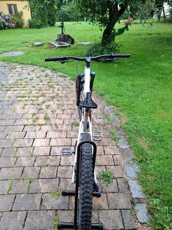 Canyon Torque Mullet AL 7 2024 2024 Mountainbike usato, Grigio chiaro — immagine 4 di 6