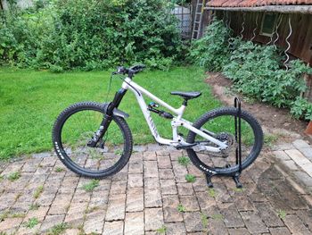 Canyon Torque Mullet AL 7 2024 2024 MTB usato
