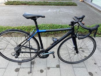 Used Stevens San Remo 2022 2022 Road & Gravel