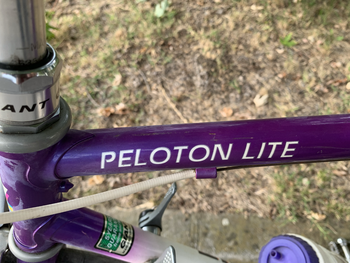 Giant Peloton Lite 1990 Road & Gravel usato, Viola — immagine 5 di 20