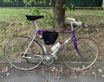 Giant Peloton Lite 1990 Road & Gravel usato, Viola — immagine 1 di 20