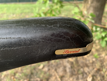Giant Peloton Lite 1990 Road & Gravel usato, Viola — immagine 17 di 20
