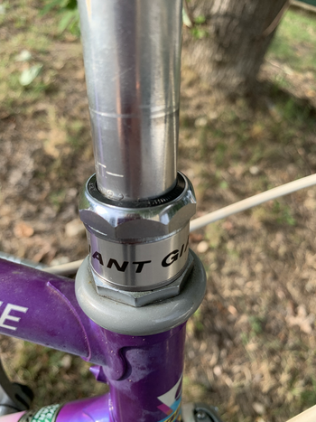 Giant Peloton Lite 1990 Road & Gravel usato, Viola — immagine 11 di 20