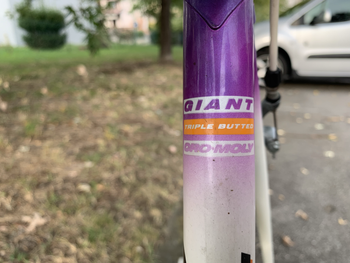 Giant Peloton Lite 1990 Road & Gravel usato, Viola — immagine 20 di 20