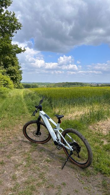 CUBE STEREO HYBRID 140 HPC, PRO 625 2024 2024 Mountainbike d'occasion — image 4 sur 5
