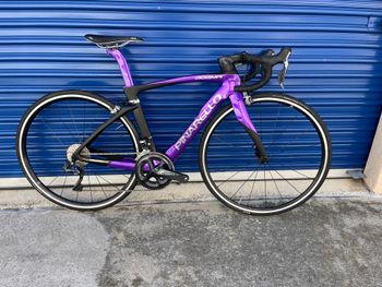 Pinarello, Dogma F Rim Brake