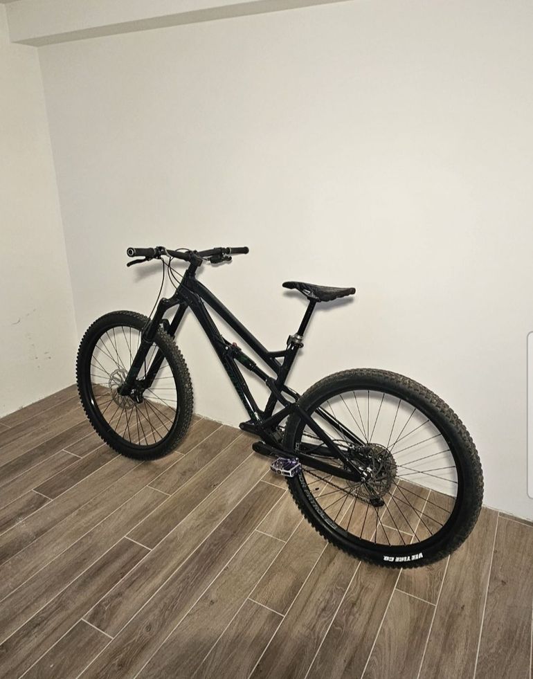 Dartmoor Blackbird Intro 29 2021 2021