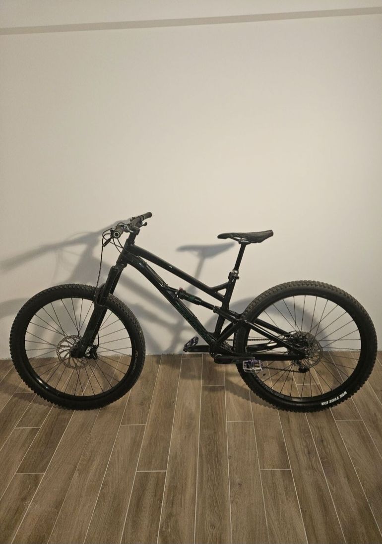 Dartmoor Blackbird Intro 29 2021 2021