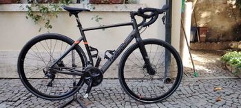 Wilier, Triestina Hybrid 105