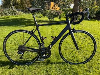 Used Canyon Endurace – Up To 70% Off New! | buycycle