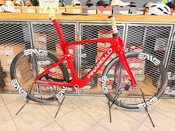 Pinarello, Dogma F MY25 + Enve SES4.5