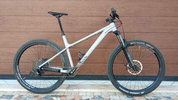 Used Canyon Stoic 4 2021 2021 Mountainbike, Light Gray, 29 — image 1 of 22