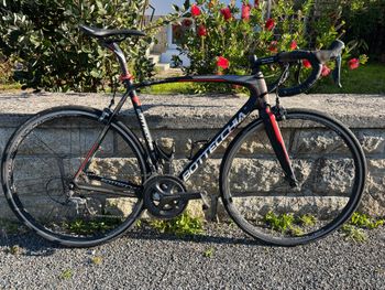 BOTTECCHIA 8AVIO EVO 53 フレームセット サイクリングエクスプレスでBOTTECCHIA 8avio Evo 2017フレーム