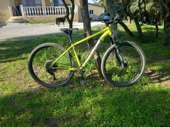 Used Nakamura 920 LTD 2022 Mountainbike, White — image 1 of 5
