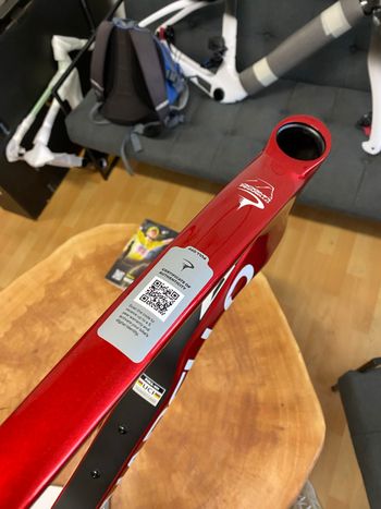 Used Pinarello Dogma F Starry Red 2025 540 2025 Road & Gravel, Rot — image 13 of 20