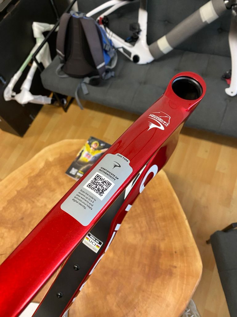 Used Pinarello Dogma F Starry Red 2025 540 2025 Road & Gravel, Rot — image 13 of 20